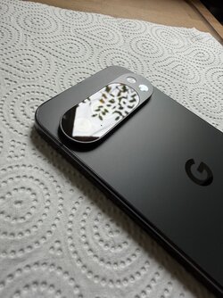 IMG_2249.jpeg