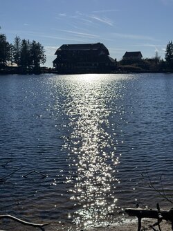 IMG_2094 2.jpeg