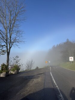 IMG_1901 2.jpeg