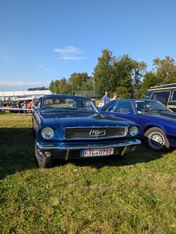 PXL_20250921_132206769.jpg