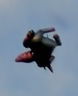 PXL_20250921_163751175~2.jpg