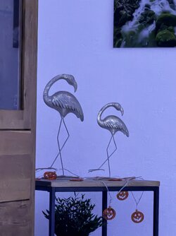 IMG_2151.jpeg