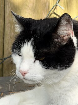 IMG_20250922_073531.jpg IMG_20250922_073531.jpg