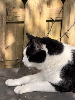 IMG_20250922_073502.jpg IMG_20250922_073502.jpg