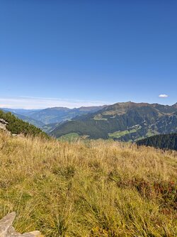 IMG_20250915_121831.jpg