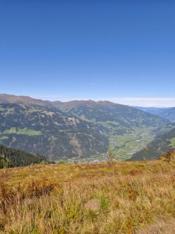 IMG_20250915_123336.jpg