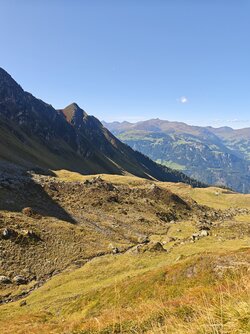 IMG_20250915_144540.jpg
