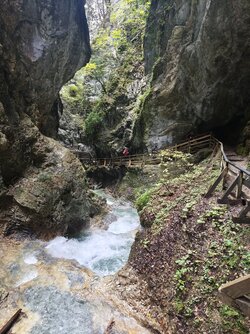 IMG_20250917_121139.jpg