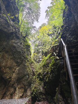 IMG_20250917_121220.jpg