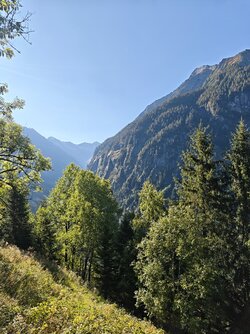 IMG_20250918_093158.jpg