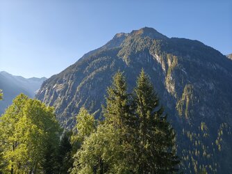 IMG_20250918_093202.jpg