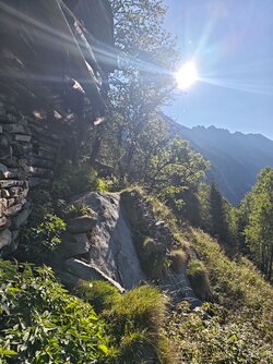 IMG_20250918_093254.jpg