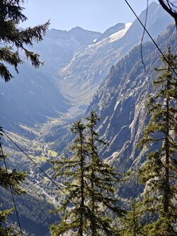 IMG_20250918_100917.jpg