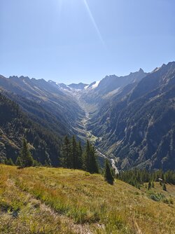 IMG_20250918_113345.jpg