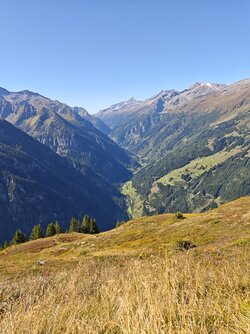 IMG_20250918_114511.jpg