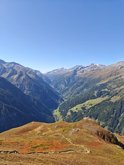 IMG_20250918_121009.jpg