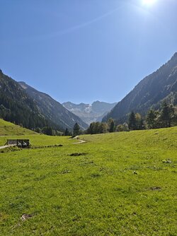IMG_20250919_125017.jpg