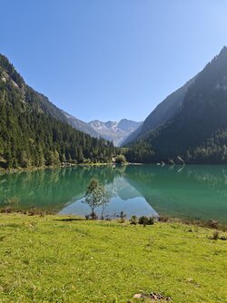IMG_20250919_142010.jpg