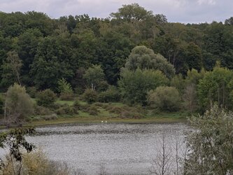 IMG_20250921_162634.jpg
