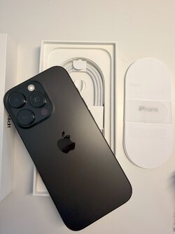IMG_0262.jpg