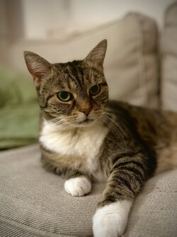 IMG_0104.jpeg IMG_0104.jpeg