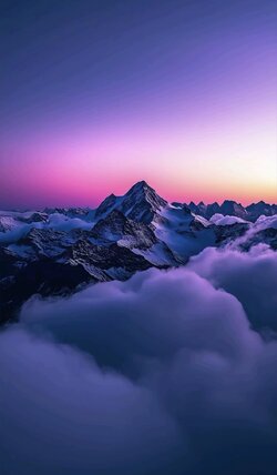 IMG_4381.jpeg