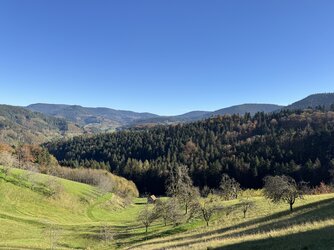 IMG_2317 2.jpeg