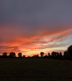 IMG_20250922_194134.jpg