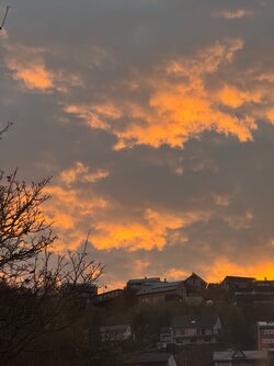IMG_9390 2.jpeg