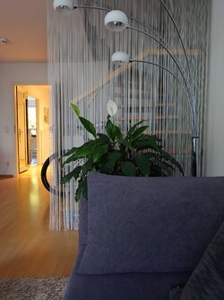 20250923_082356.JPG