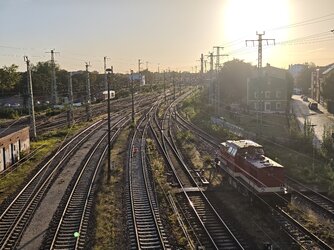 IMG_20250923_074537.jpg