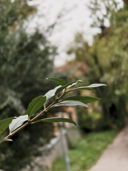 IMG_20250923_102304238.jpg