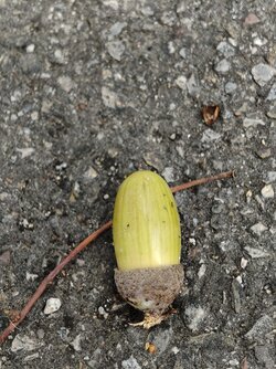 IMG_20250923_114001118.jpg