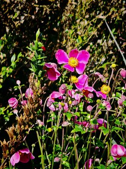 IMG_20250923_132155.jpg