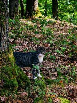 IMG_20250923_173222.jpg