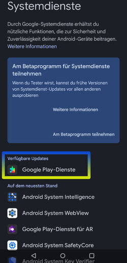 Google - Systemdienste.jpg Google - Systemdienste.jpg