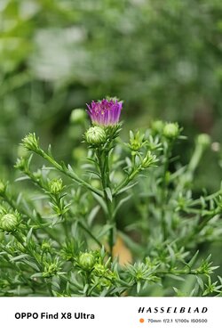 IMG20250905184129 2.jpeg