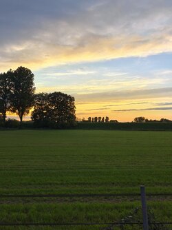 IMG_20250923_191452.jpg