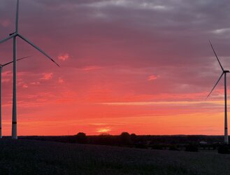 IMG_3646.jpeg IMG_3646.jpeg