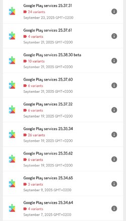 Screenshot_20250924_092106_Samsung Internet Beta.jpg