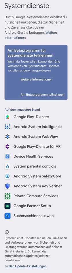Screenshot_20250924_100240_Google Play Store.jpg