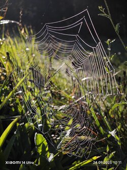 IMG_20250924_101126.jpg