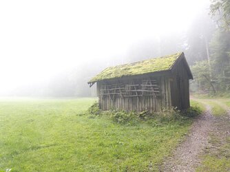 IMG_0352.jpeg