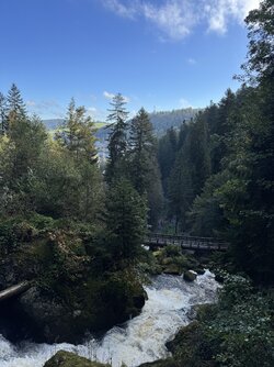 IMG_5320 2.jpeg