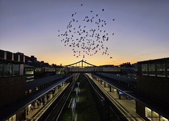 20250924_063522.jpg 20250924_063522.jpg