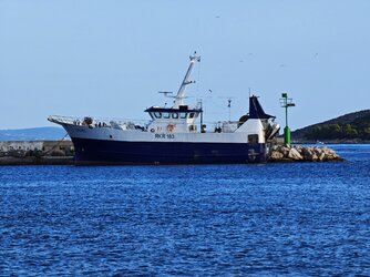 IMG_20250916_173309.jpg