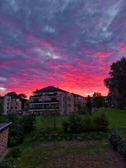 IMG_20250924_193942.jpg
