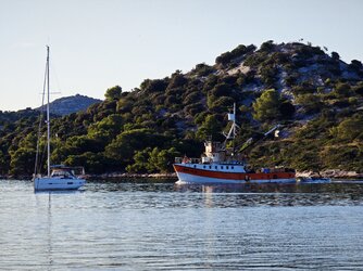 IMG_20250919_074725.jpg