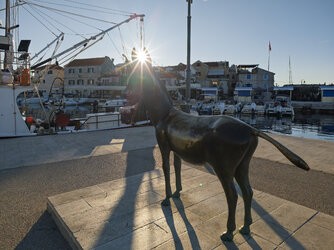 IMG_20250919_073320.jpg