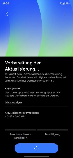 Screenshot_20250925_173638_Software update.jpg